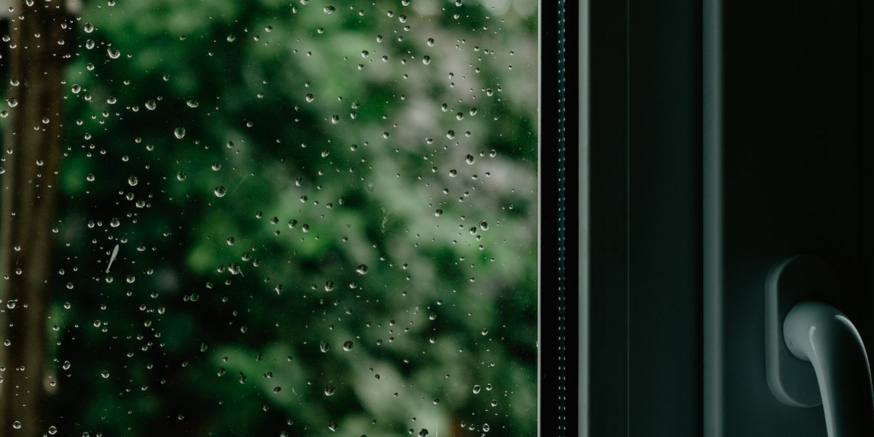 Cleaning Glass Doors