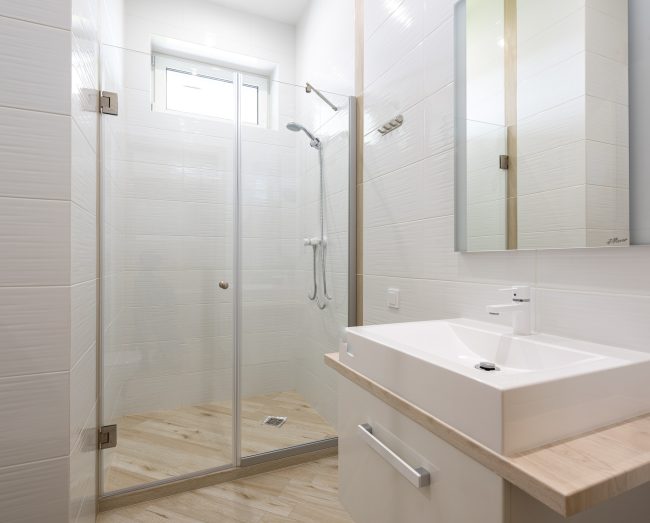 Shower Glass Partition