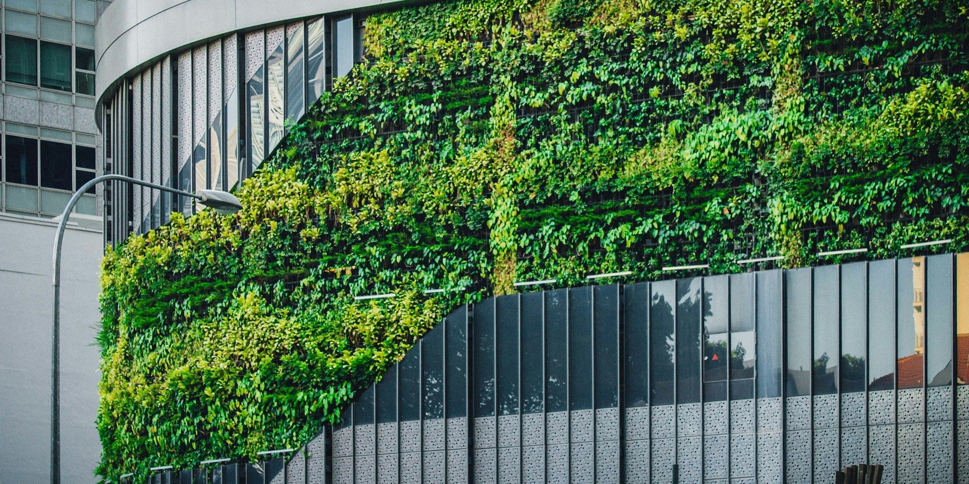 Green Building Materials